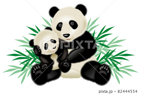 パンダのイラスト 82444554