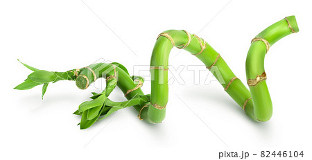 Green bamboo with leaves isolated on white background with clipping path and full depth of field Green bamboo with leaves isolated on white background with clipping path and full depth of field 82446104