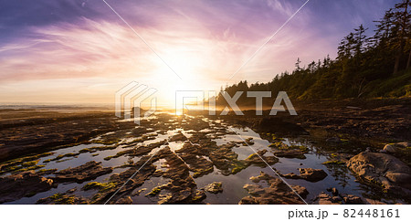 Botanical Beach on the West Coast of Pacific Ocean. Botanical Beach on the West Coast of Pacific Ocean. 82448161