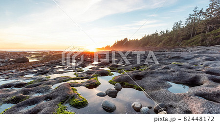 Botanical Beach on the West Coast of Pacific Ocean. Botanical Beach on the West Coast of Pacific Ocean. 82448172