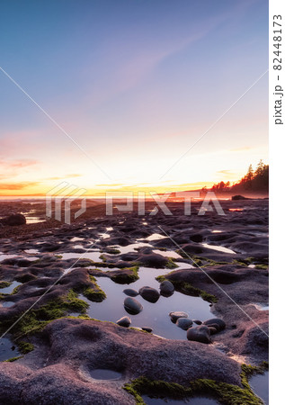 Botanical Beach on the West Coast of Pacific Ocean. Botanical Beach on the West Coast of Pacific Ocean. 82448173