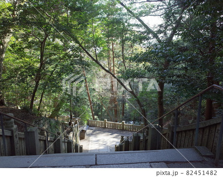 本宮まで最後の石段_金刀比羅宮 82451482