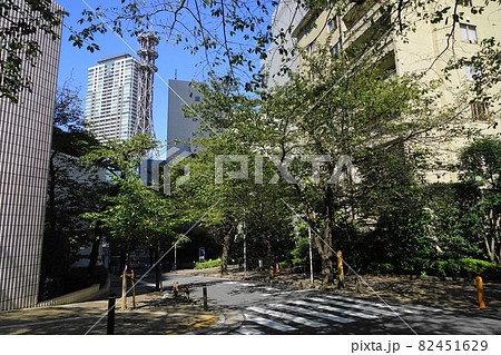 9月　港区721桜坂･赤坂一丁目 82451629