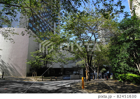 9月 港区720桜坂・赤坂一丁目 9月 港区720桜坂・赤坂一丁目 82451630