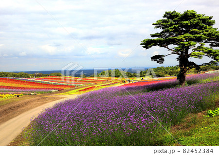 やくらい ガーデン やくらい ガーデン 82452384