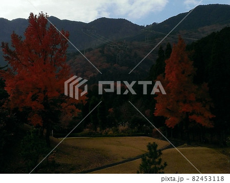 ゴルフ場の紅葉 82453118