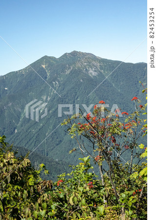 谷川連峰　白毛門 82453254