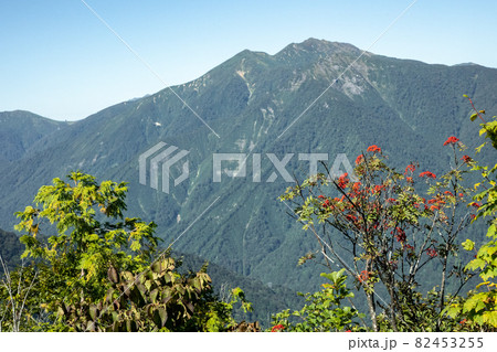 谷川連峰 白毛門 谷川連峰 白毛門 82453255