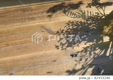 Image photo 82453286