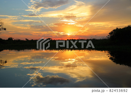 パラグアイ川に沈む夕日（パンタナール、ブラジル） 82453692