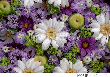 白 青 紫の花の背景 ガーベラ ブプレリウム コスモス の写真素材 4550