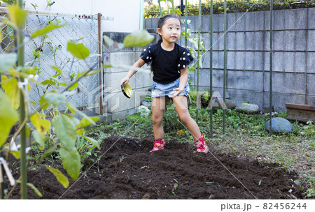 家庭菜園を楽しむ女の子 家庭菜園を楽しむ女の子 82456244