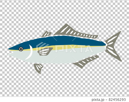ブリ　レトロなベクターイラスト 82456293