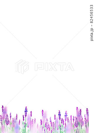 満開のラベンダー畑 水彩 背景素材 満開のラベンダー畑 水彩 背景素材 82456533
