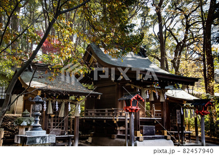 平塚八幡宮末社三社 平塚八幡宮末社三社 82457940