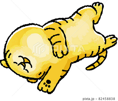 かわいいトラのイラスト かわいいトラのイラスト 82458838