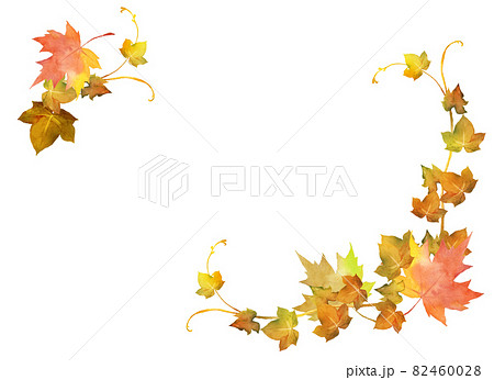 秋の紅葉のフレーム 82460028
