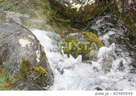 勢いよく流れる水と苔の生えた岩 82460049