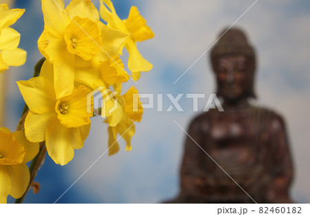 Yellow Daffodils With Buddha Statue in Background 82460182