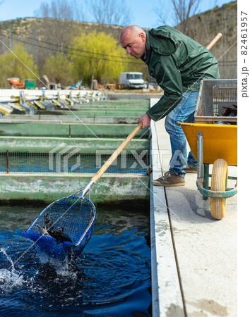 Portrait of man fish farm worker 82461957