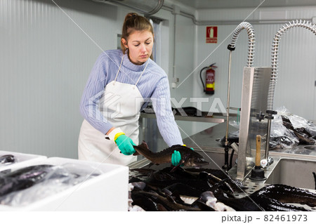 Woman preparing fish for packaging Woman preparing fish for packaging 82461973