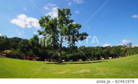 万博記念公園の自然文化園のキャンプ場 82461976