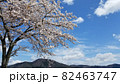 sakura10 82463747