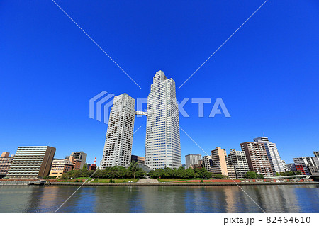 東京　中央区の都市風景　隅田川と聖路加ガーデンタワー 82464610