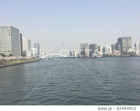 春の墨田川の風景 春の墨田川の風景 82464922