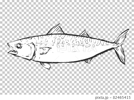 鯖魚手繪毛筆繪畫風格插畫 鯖魚手繪毛筆繪畫風格插畫 82465415