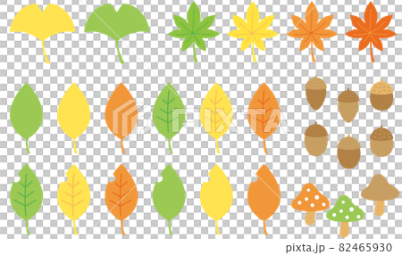 秋天的自然集，簡單可愛的楓樹、銀杏、樹葉、橡子和蘑菇 82465930