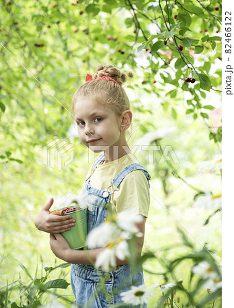 Little girl is picking cherries in the garden. 82466122