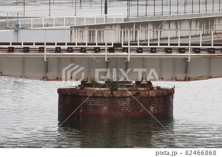 和田旋回橋 82466868