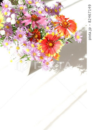 窓辺の花、切り花 、陽射しを浴びて 窓辺の花、切り花 、陽射しを浴びて 82467149