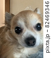 なに？写真撮ってるの？いいよ！撮っても 82469346