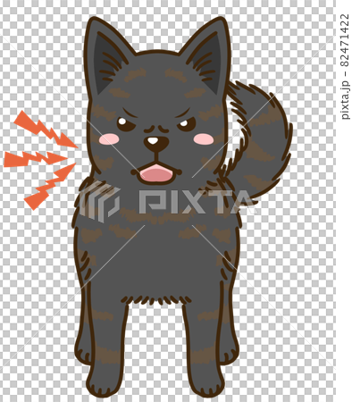 威嚇する甲斐犬 黒虎毛 のイラスト素材