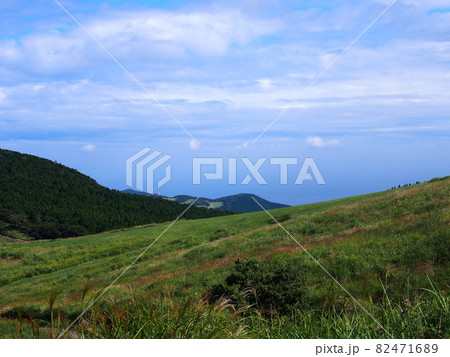 伊豆稲取細野高原 伊豆稲取細野高原 82471689