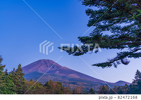 (静岡県)裾野市・水ヶ塚公園から望む、秋の富士山 夜明け前 (静岡県)裾野市・水ヶ塚公園から望む、秋の富士山 夜明け前 82472168