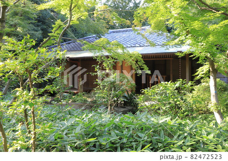 川口市立グリーンセンター　日本庭園茶室　埼玉県川口市 82472523