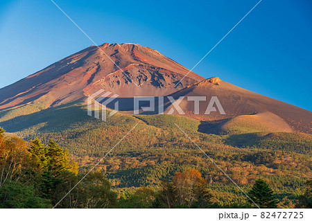 （静岡県）水ヶ塚公園から望む、秋の富士山　夜明け 82472725