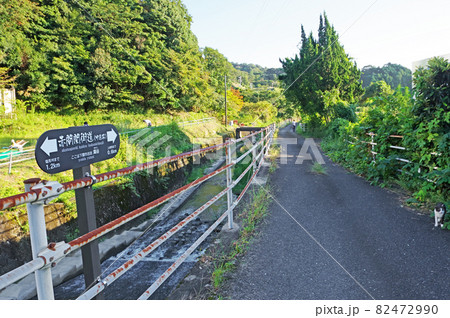 山口県下関市の赤間街道中道筋湯谷 82472990
