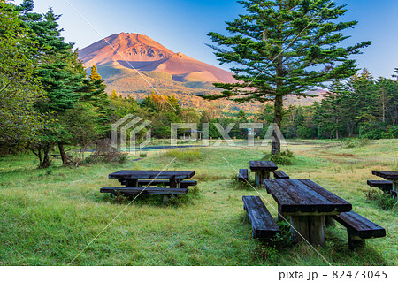 （静岡県）水ヶ塚公園から望む、秋の富士山　早朝 82473045