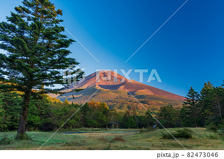 (静岡県)水ヶ塚公園から望む、秋の富士山 早朝 (静岡県)水ヶ塚公園から望む、秋の富士山 早朝 82473046