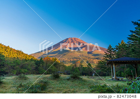 （静岡県）水ヶ塚公園から望む、秋の富士山　早朝 82473048