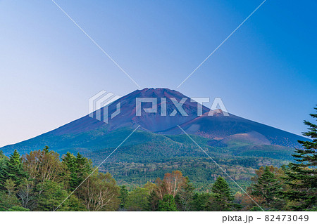 （静岡県）水ヶ塚公園から望む、秋の富士山　早朝 82473049