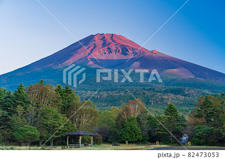 (静岡県)水ヶ塚公園から望む、秋の富士山 早朝 (静岡県)水ヶ塚公園から望む、秋の富士山 早朝 82473053