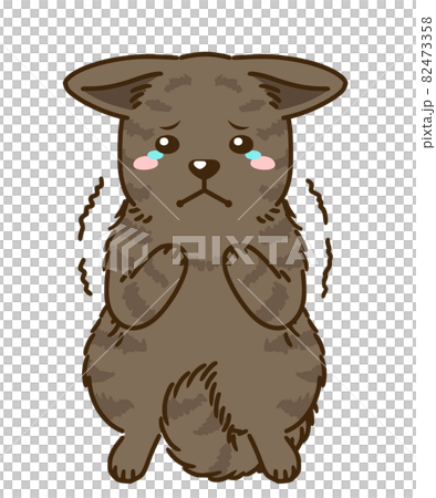 怯える甲斐犬 赤虎毛 のイラスト素材