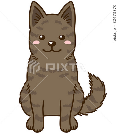 甲斐犬(赤虎毛) 甲斐犬(赤虎毛) 82473370