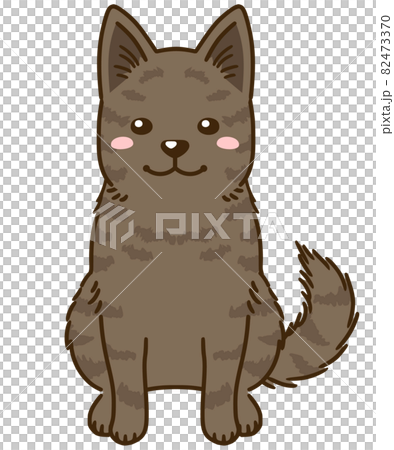 甲斐犬(赤虎毛) 甲斐犬(赤虎毛) 82473370