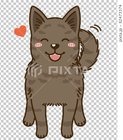 懐く甲斐犬 赤虎毛 のイラスト素材